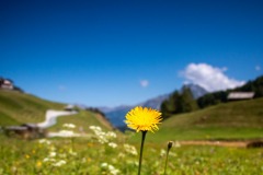 IMG_0649