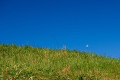 IMG_0660