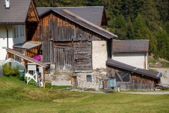 IMG_0703