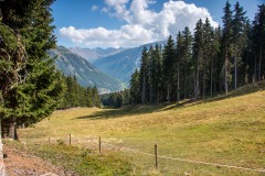 IMG_0705