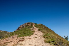 IMG_0445