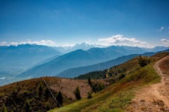 IMG_0452