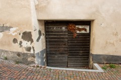 IMG_1013