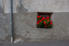 IMG_1062