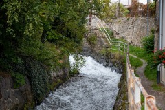 IMG_1141