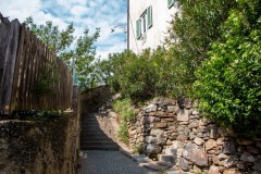 IMG_0822