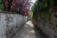 IMG_0915