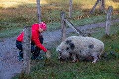 IMG_1159