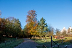 IMG_1160