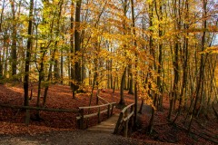 IMG_1167