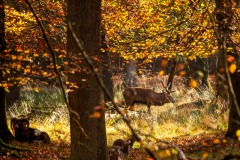 IMG_1180