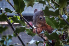 IMG_1223