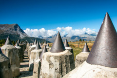 IMG_2950