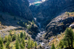 IMG_2753