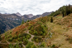 IMG_8821