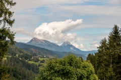 IMG_9019