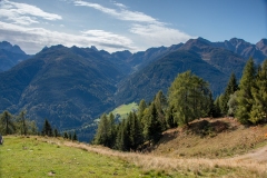 IMG_9460