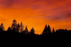 IMG_9610_192552
